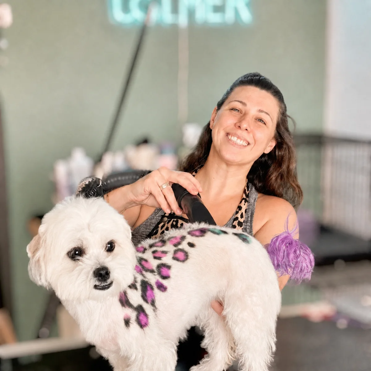 Groomer gently bathing a dog, warm natural light